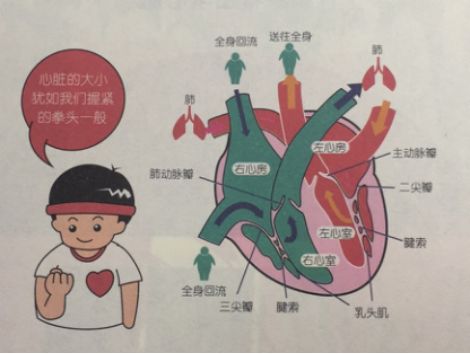 冠心病完全图解