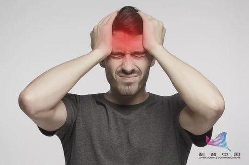 ѪѹܳԷ㶷_ѪѹܳƤ㶷