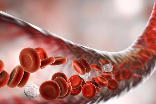 高曙光演的爱情电视剧 高曙光演的爱情电视剧