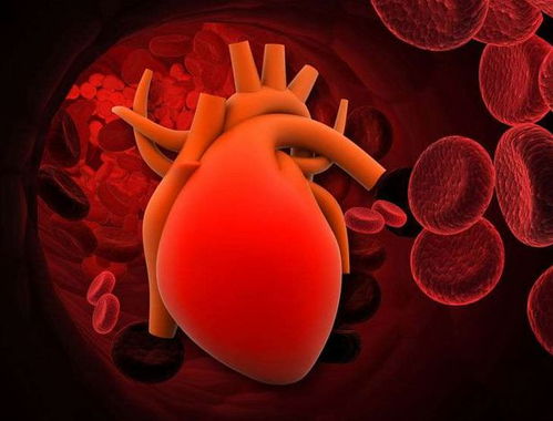 前妻演员表_前妻演员表和角色介绍 前妻演员表_前妻演员表和角色介绍