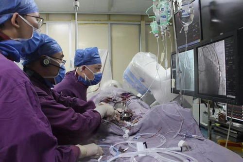 罗布麻茶心血管罗布麻茶对心脏有影响吗 罗布麻茶心血管罗布麻茶对心脏有影响吗