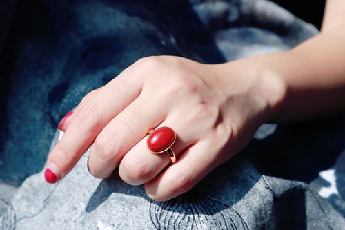 牙龈炎症怎么调理 牙龈炎症怎么调理