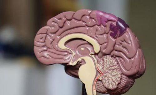 怀孕九个月咳嗽怎么办 怀孕九个月咳嗽怎么办