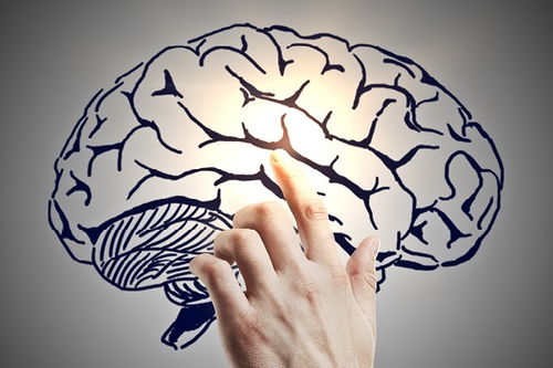 台湾女明星颜值前十名 台湾女明星颜值前十名