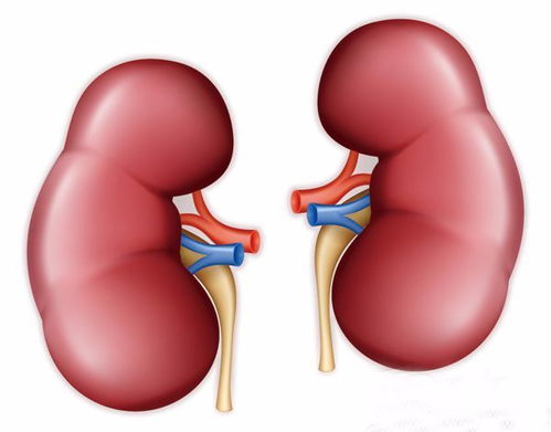 患有冠心病能喝奶粉吗 患有冠心病能喝奶粉吗