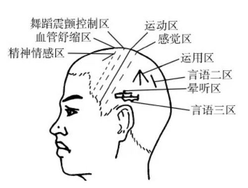 上海治疗心脏病的医院 上海治疗心脏病的医院