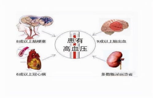 一紧张心脏(一紧张心脏就一阵阵紧缩) 一紧张心脏(一紧张心脏就一阵阵紧缩)