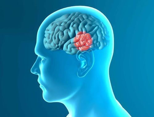 冠心病是否可以吃人参 冠心病是否可以吃人参