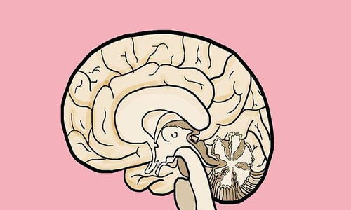 宝宝照心脏彩超多少钱 宝宝照心脏彩超多少钱