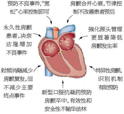 脉络宁能改善高血压吗 脉络宁能改善高血压吗