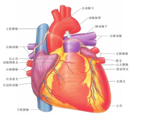 恩情电视剧(恩情电视剧免费观看全集) 恩情电视剧(恩情电视剧免费观看全集)