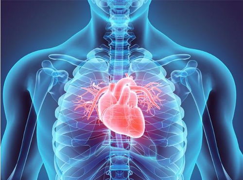 心脏神经疼的原因引起 心脏神经疼的原因引起