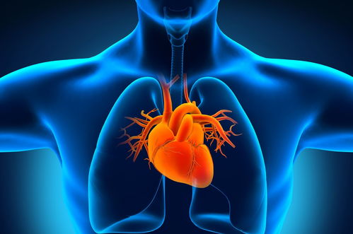 高圆圆为什么被叫炮台 高圆圆为什么被叫炮台