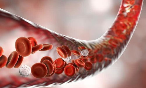 ����ҩҽ���ι��Ĳ�