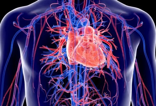 腹部中间疼痛 腹部中间疼痛