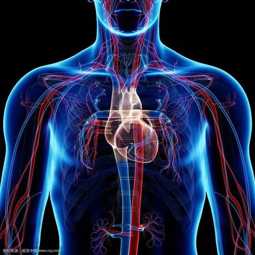 心脏痛发冷怎么办啊心脏痛发冷怎么办啊女性 心脏痛发冷怎么办啊心脏痛发冷怎么办啊女性