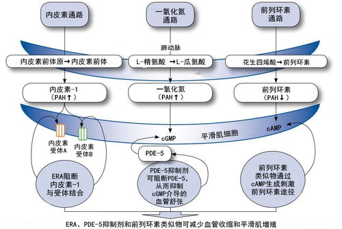 梦龙雪糕多少钱一只(梦龙雪糕多少钱一只市场价) 梦龙雪糕多少钱一只(梦龙雪糕多少钱一只市场价)