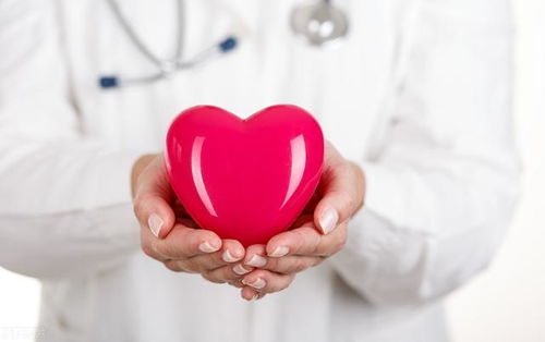 心脏术后喝山楂陈皮水 心脏术后喝山楂陈皮水