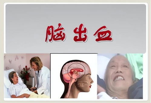 花千骨优酷 花千骨云播放 花千骨优酷 花千骨云播放