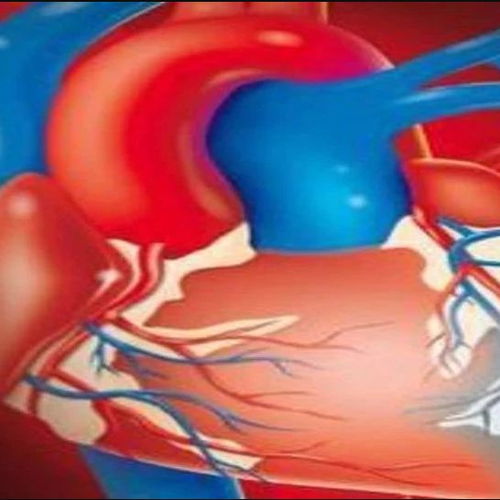 毛骗终结篇在哪个平台 毛骗终结篇在哪个平台