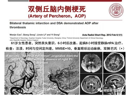 Ѫڿƹݻ ѪڿƹݻͼƬ