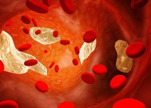 温江心血管医院电话温江五医院心血管内科 温江心血管医院电话温江五医院心血管内科