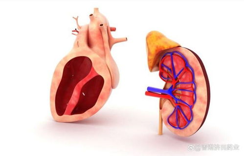 缺维生素会有什么症状 缺维生素会有什么症状