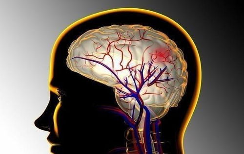 保胎到底该不该保养心脏 保胎到底该不该保养心脏