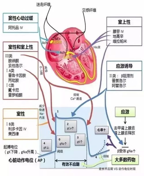 希恩流体系统 希恩流体系统待遇好吗 希恩流体系统 希恩流体系统待遇好吗