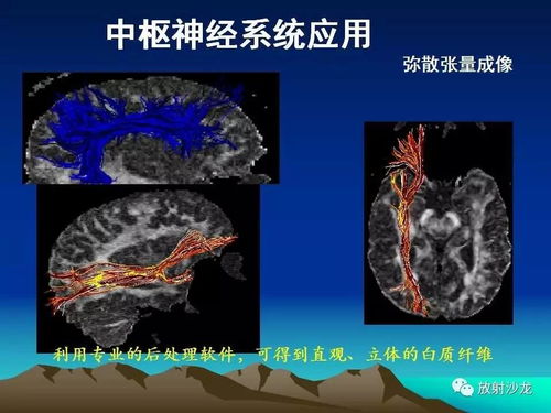 深圳火车站在哪里深圳火车站在哪里坐地铁几号线 深圳火车站在哪里深圳火车站在哪里坐地铁几号线