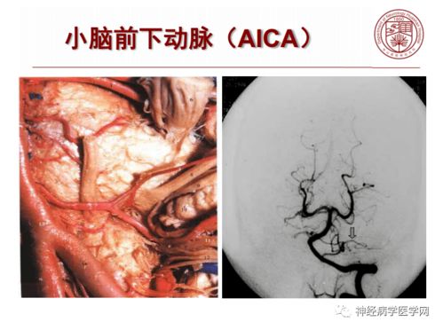 郭冬临资料郭冬临老婆简历个人资料 郭冬临资料郭冬临老婆简历个人资料