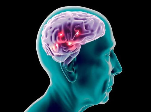 心脏经常猛的跳两下 心脏猛跳两下要紧吗 心脏经常猛的跳两下 心脏猛跳两下要紧吗