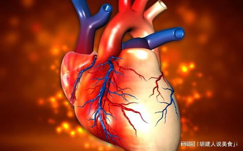 血管大血流快影响心脏 血管大血流快影响心脏