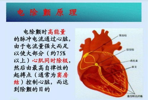 六一的来历和意义(六一的来源六一的故事) 六一的来历和意义(六一的来源六一的故事)