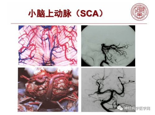 王铮亮微博(王铮亮微博新浪微博李乘铉) 王铮亮微博(王铮亮微博新浪微博李乘铉)