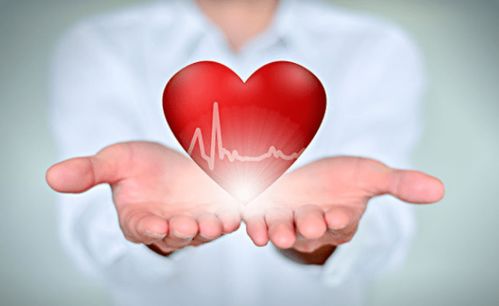 高血压能吃香菇茶树菇吗 高血压能吃香菇茶树菇吗