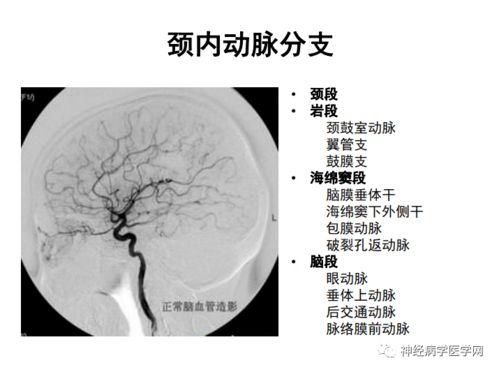 睡不着心脏难受口干想吐 睡不着心脏难受口干想吐