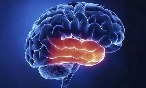 Ѫ�������˻ᵼ����Щ����