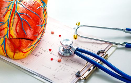 小儿心血管系统生理 新生儿心血管系统发育及特点 小儿心血管系统生理 新生儿心血管系统发育及特点