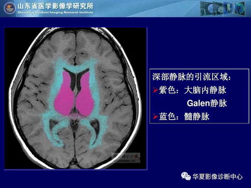 捷安特山地车报价 捷安特山地车官网价格 捷安特山地车报价 捷安特山地车官网价格