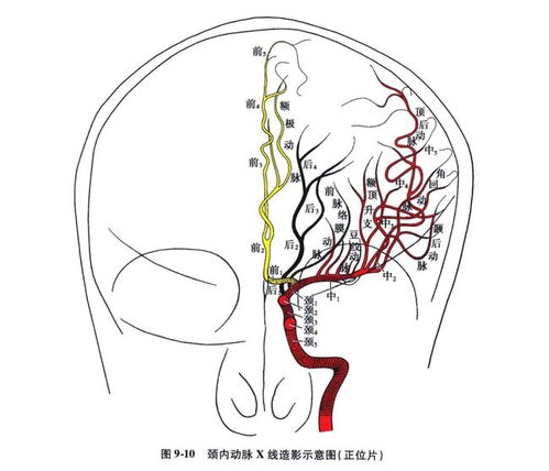 唐禹哲薛之谦薛之谦唐诗 唐禹哲薛之谦薛之谦唐诗
