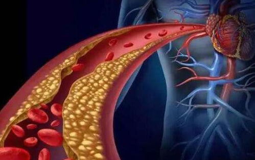 ��Ѫ�ܻ���������Ʒ���