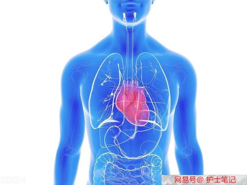 ����֧�ܺ�ԵĽ���ҩ