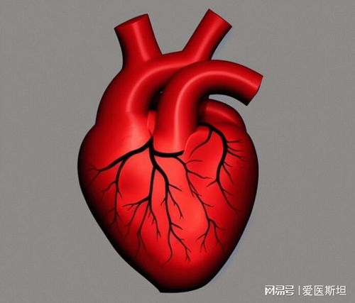 �ó�������˽�ʲô�ó���������Ӣ����ô˵