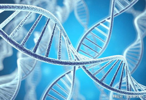 高血压晚餐要少吃什么 高血压晚餐要少吃什么