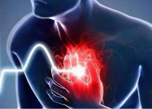 海边的曼彻斯特 海边的曼彻斯特 电影 海边的曼彻斯特 海边的曼彻斯特 电影