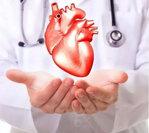 ͷ����Ѫ��������������������