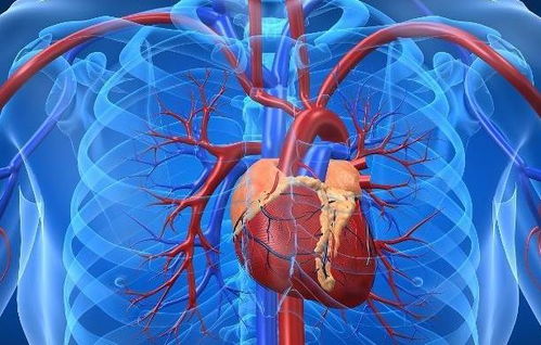 三个月的宝宝病毒感冒怎么办 三个月的宝宝病毒感冒怎么办