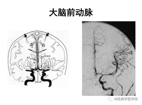 捞明月全文免费阅读_捞月网作者 捞明月全文免费阅读_捞月网作者