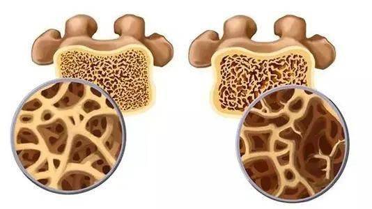 尼格买提的儿子和女儿 尼格买提的儿子和女儿